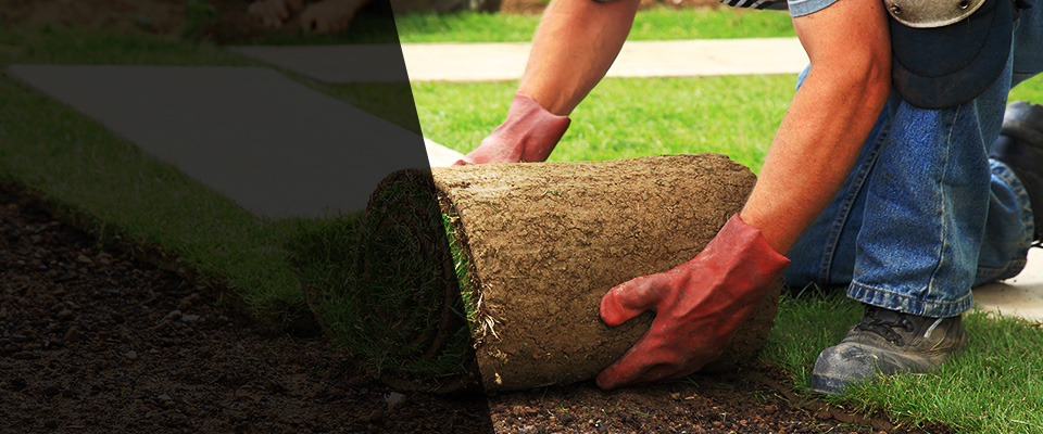 East Elmhurst Landscapers